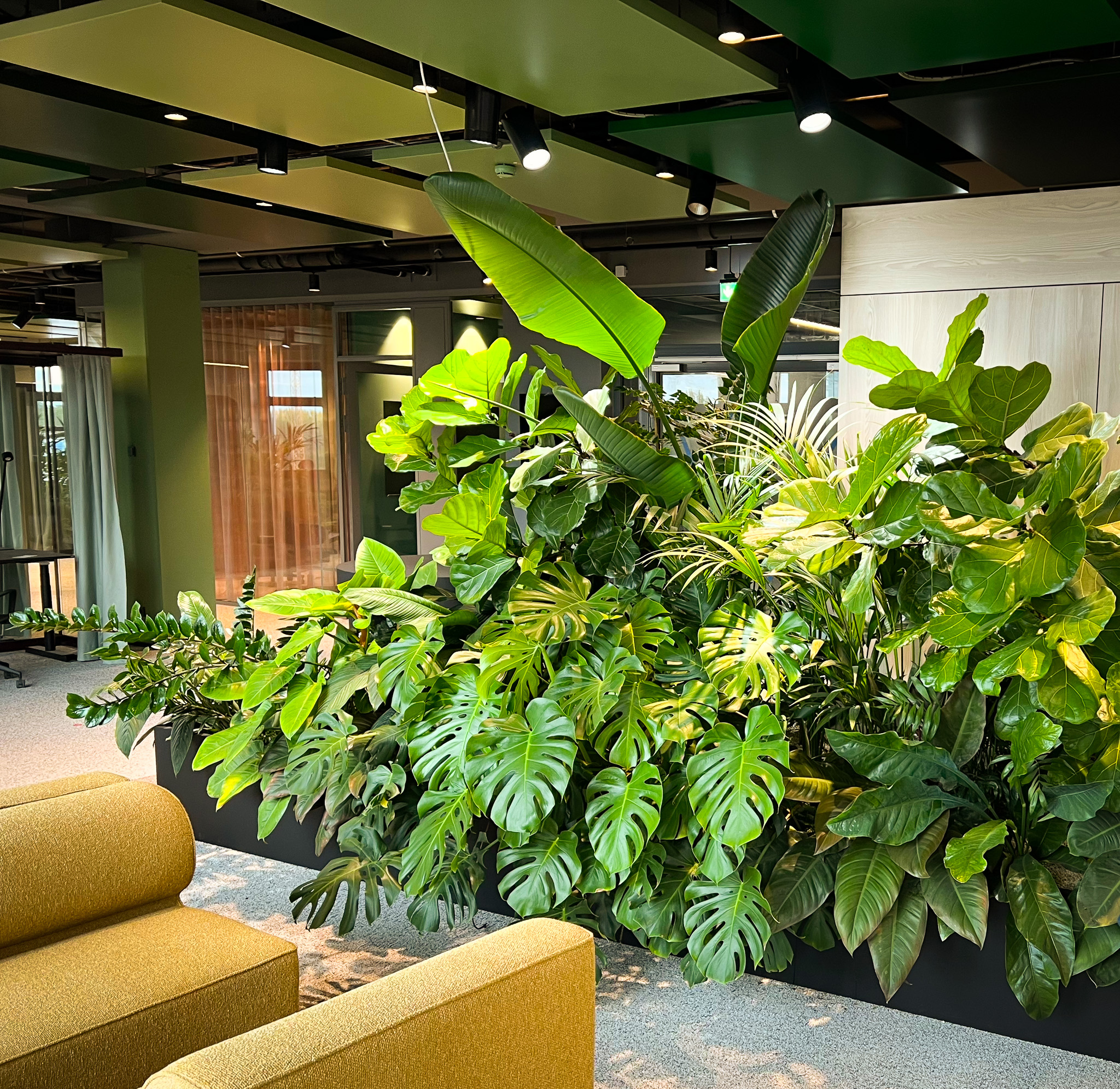 Individuelles Design